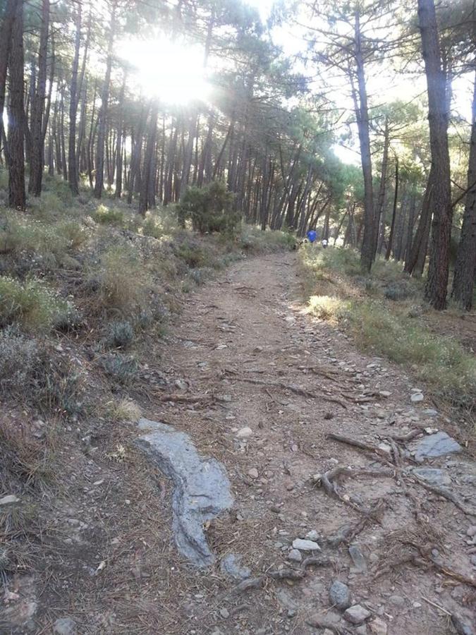Cortijo de Balsain Green Peaks B&B Country House Alojamiento Rural المظهر الخارجي الصورة