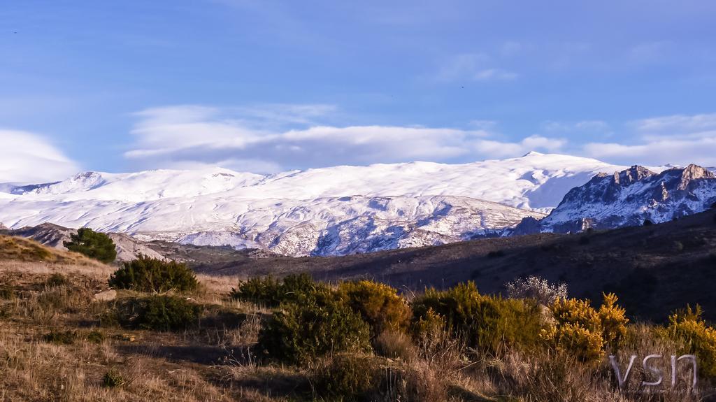 Cortijo de Balsain Green Peaks B&B Country House Alojamiento Rural المظهر الخارجي الصورة